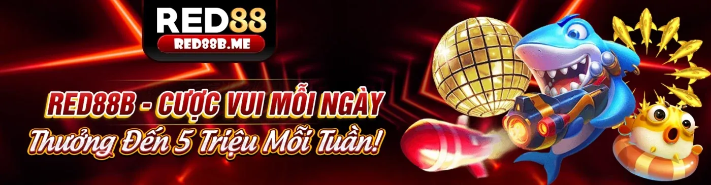 Hướng dẫn sử dụng donclub code và các ưu đãi độc quyền